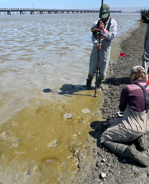 Field-based measurements and samples of biofilm were also collected