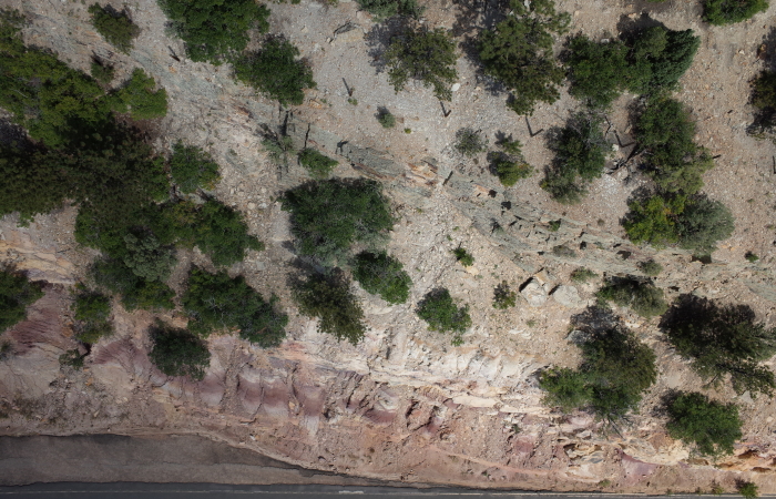 Image of the Dinosaur Ridge study site taken from a Ricoh GR II mounted on a 3DR Solo