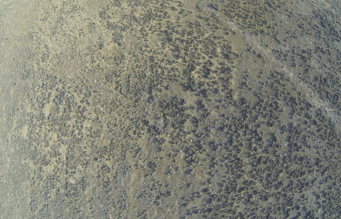 GoPro image of the study site taken from a UAS