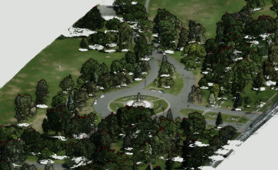 LiDAR point cloud with tree crown heights (red points)