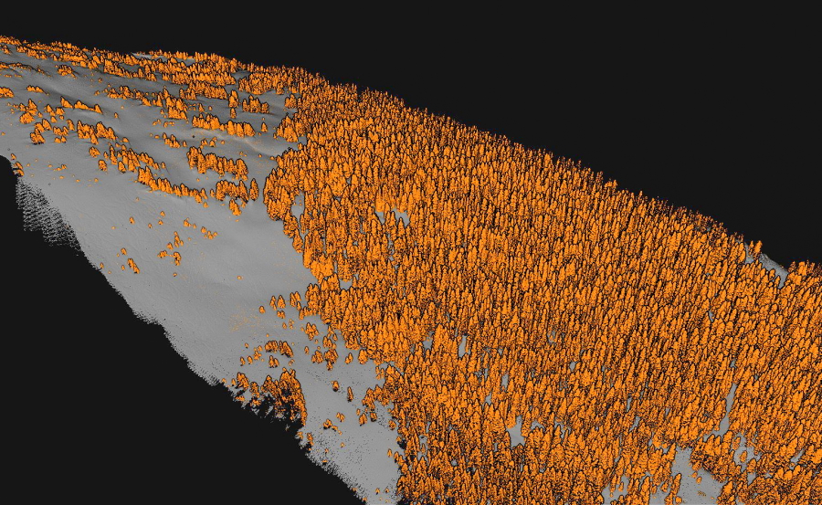Point cloud model of Berthoud Pass showing vegetation (orange) and snow (gray). This model was generated from data collected from a UAS mounted lidar sensor in March 2022.