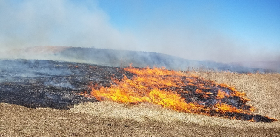 Grassland burn on the Flint Hills grasslands of Kansas.
