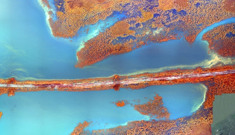 Near-infrared mosaic generated from MicaSense RedEdge imagery showing Algal bloom areas accumulating near the shores of Milford Lake