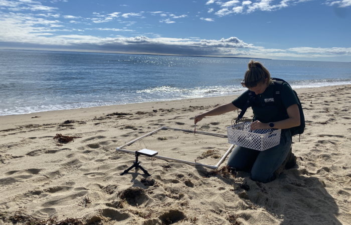 Jennifer Cramer calibrates the Ocean Insight HDX and collects reflectance spectra of beach sand