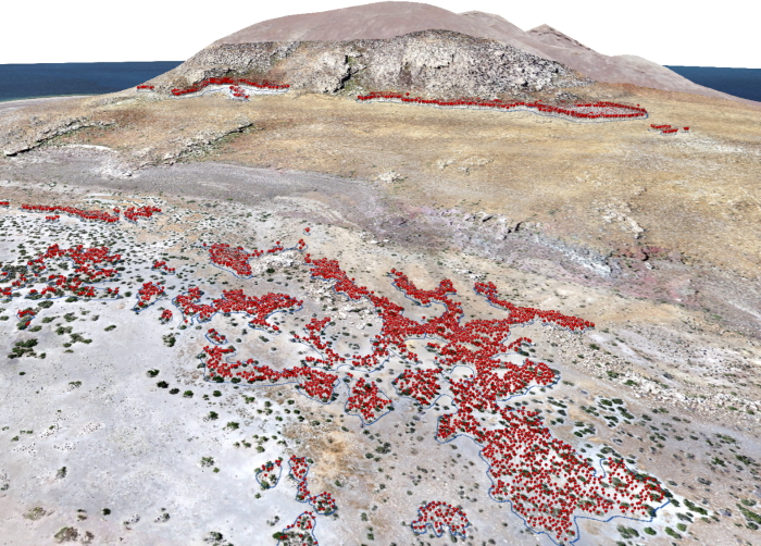 Extracted features representing American Pelicans (red dots) overlaid on a 3D model of the natural color imagery