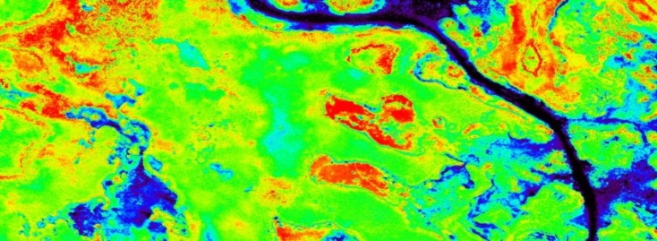 Normalized Difference Vegetation Index (NDVI) generated from UAS acquired data