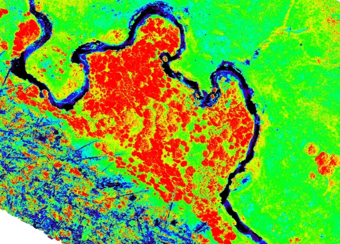 Normalized Difference Vegetation Index of the Sycan River derived from near infrared imagery taken from about 400 feet