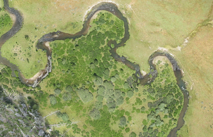 Orthophoto of the Sycan River generated from UAS collected data