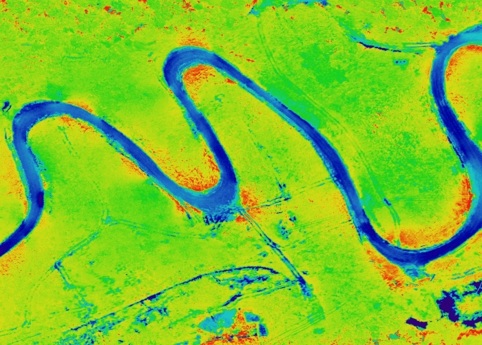 Processed Normalized Difference Vegetation Index (NDVI)